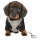 ŠTĚNĚ